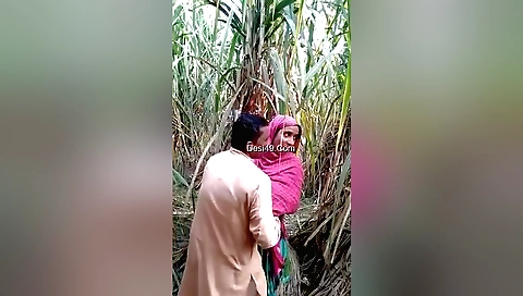 Brunette with a big ass is going to have a good outdoor threesome