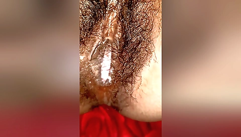 Indian bhabhi has a hairy cunt with her hairy pussy