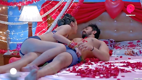 Sexy brunette in sexy lingerie and stockings is on the net