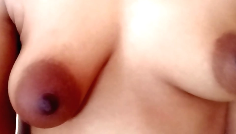 Indian girl has sexy lingerie and poses for solo video